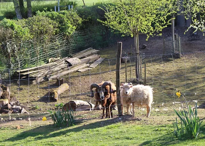 La Maison Rose Vakantiehuis